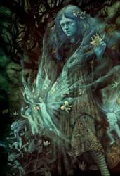 Mystery Fairies