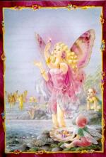 Shirley Fairy 2